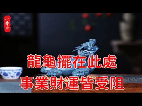 龍龜可以放房間嗎|龍龜怎麼養？擺放禁忌與供奉秘訣 